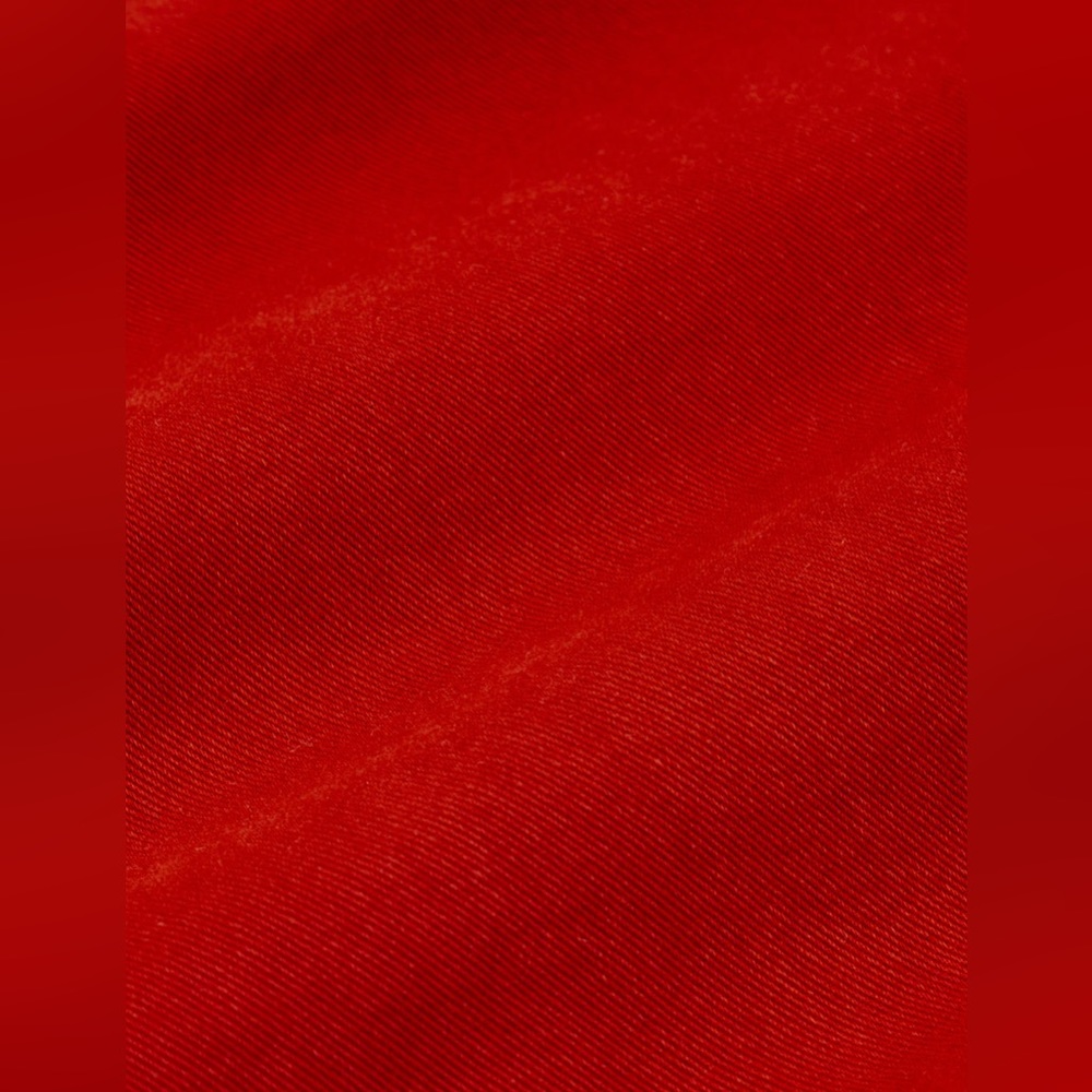 Big Bud Press Straight Leg Pants in Rich Red - Picture 3 of 5